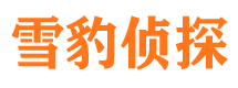 额敏市侦探调查公司